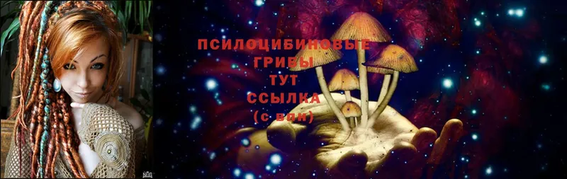 Псилоцибиновые грибы Magic Shrooms  Комсомольск-на-Амуре 